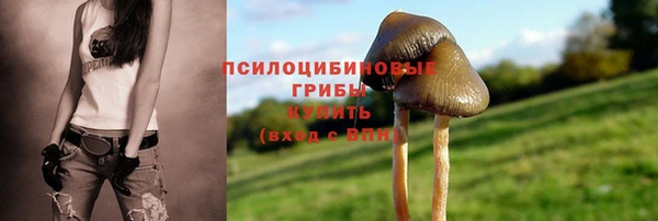 гашиш Коряжма