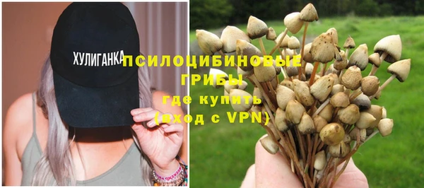 не бодяженный Корсаков