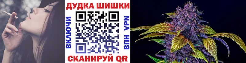 Бошки Шишки SATIVA & INDICA  наркота  Новосиль 